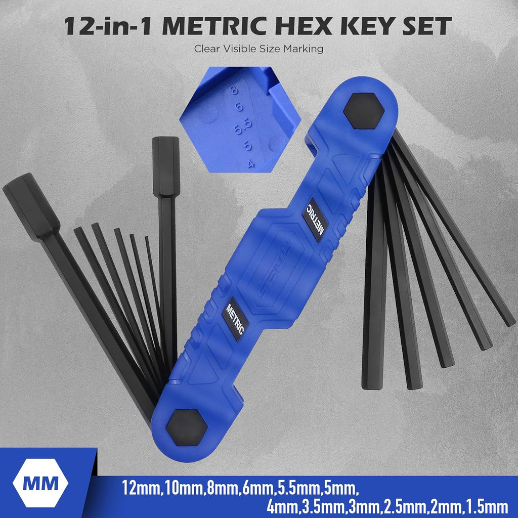 12-Piece Large Folding Hex Key Set